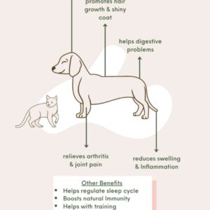 IMG_2214 Pet CBD Tincture