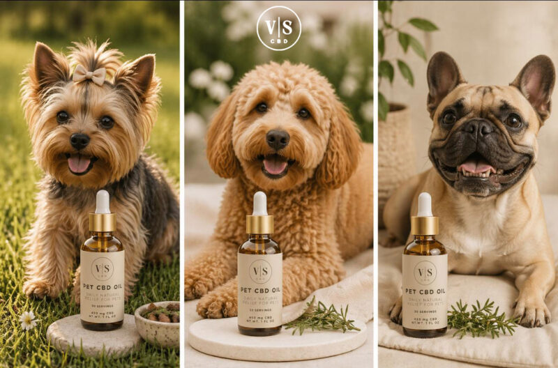 Pet CBD Tincture